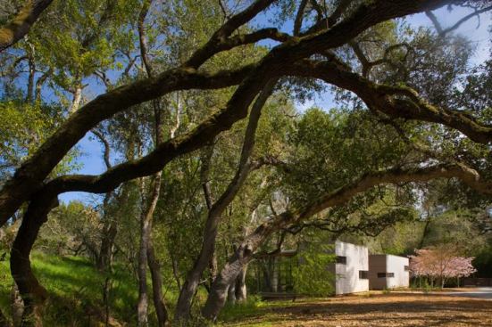 The guest cottage and office comprising Bohlin Cywinski Jackson's Dry Creek Outbuildings appear to float along the steep, forested bank of Dry Creek. The structures' solid wood fronts, interspersed with ribbons of window to allow views, face the property's entry drive and contain the buildings' service elements.
