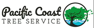 Santa Cruz Tree Service Experts