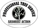 Orlando Tree Service Experts