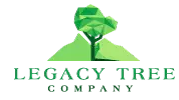 Albuquerque Tree Service Experts