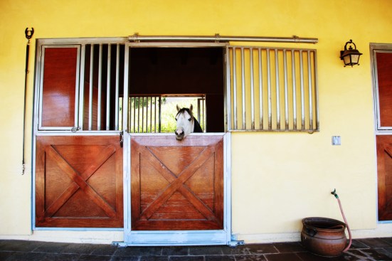 Skyridge+Barn+and+Stables