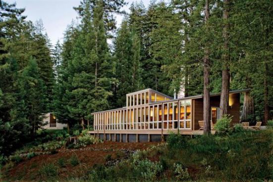  Architects Mary Griffin and Eric Haesloop placed this northern California house over a slight dip in the landscape, so that it acts as a bridge between two existing stands of redwoods. 
