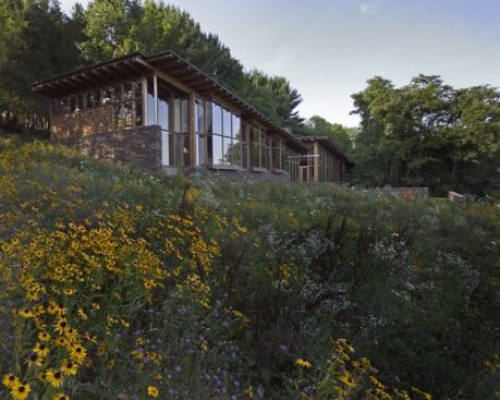 Three large, wood-framed bays open the bedroom wing to light and views.
