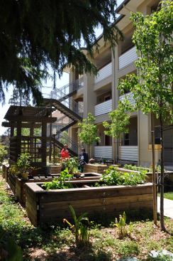 When a former battery factory was given a new life as affordable, energy-efficient housing for low-income seniors, the team preserved an adjoining fruit orchard, which now provides art space, room for gardening, and a lovely access point for public transportation on the street side. Project: Orchards on Foothill, Oakland, Calif.; Builder: J.H. Fitzmaurice, Oakland; Architect: Pyatok Architects, Oakland; Developer: Affordable Housing Associates, Berkeley, Calif.; Landscape architect: Rich Seyfarth