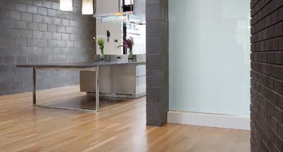 To counteract the dark-alley-kitchen syndrome commonly seen in Chicago row houses, architect Mark Peters used translucent laminated glass walls to bring natural light inside and to create the illusion of spaciousness.
