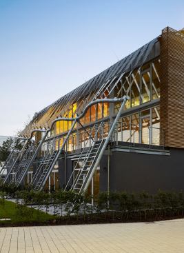 Soft House is a wood structure. KVA prefers building with wood---even for multifamily--as a truly renewable material with no embodied energy. The material also helps maintain affordability,