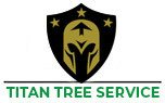 Memphis Tree Service Experts