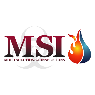 Mold Solutions and Inspections, LLC