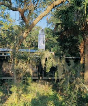 All but lost amid the palms and live oaks, this is a house that offers a truly intimate experience of its site.