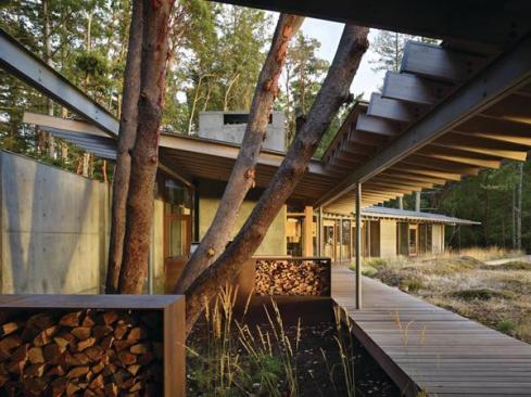 The roof extends across both the main house and the guest suite, with an opening in between for a mature madrone tree.