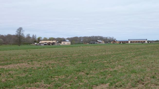 The firm renovated existing structures and added 11 new ones, including a house for the owners and a guest house.
