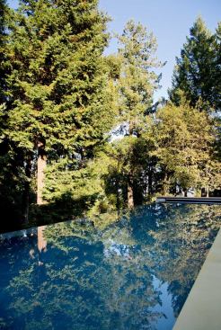 The pool’s curbless edge disappears into the surrounding trees.