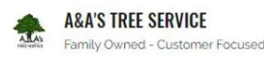 Buffalo Tree Service Experts