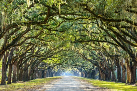 Savannah, Georgia