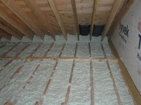 CEMENTITIOUS FOAM  This non-toxic and mold-resistant product, which has been on the market for 25 years but has recently caught on with green builders, is made with 100% organic magnesium oxide cement and is a good choice for homeowners with acute chemical sensitivities, Wilson said.