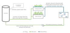 The aquaponic system built with local firm Ten Acre Organics encompasses two 16-foot-long plant beds and a tank for fish such as tilapia and catfish. Harmless bacteria help keep the interconnected system clean with very little maintenance. This approach uses 90% less water than traditional food production, says co-captain Charles Upshaw.