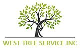 Columbus Tree Service Experts