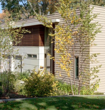 The+street+side+landscape+design+focused+on+native+plants+intended+to+eventually+grow+up+thickly+as+if+having+always+been+there.+