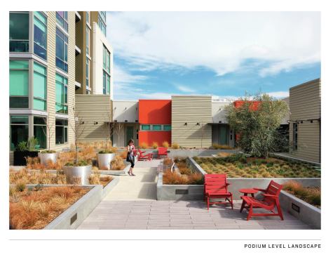 Outdoor spaces includes a landscaped podium and a rooftop habitat that attracts endangered butterflies.
