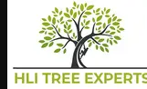 Los Angeles Tree Service Experts