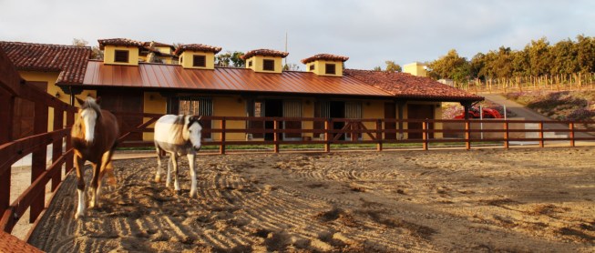 Skyridge+Barn+and+Stables