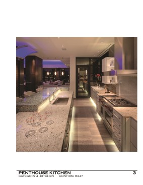 Penthouse+Kitchen