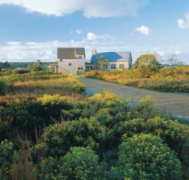 Patches of existing scrub oak, bayberry, and pitch pine line the long gravel drive leading to the family compound.