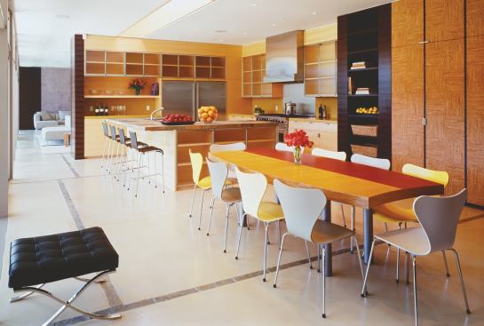 Interior walls contrast panels of Macassar ebony with Venetian lime plaster. Floors are colored concrete bordered in slate.