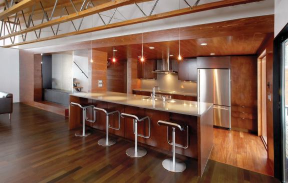 Contrasting interior finishes delineate the circulation core, which includes the entryway, kitchen, and rooftop addition.