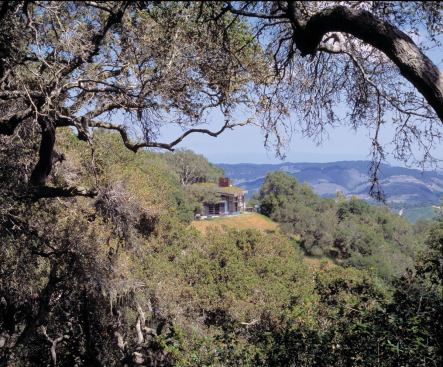 San Francisco architect Jonathan Feldman and general contractor Groza Construction cut away parts of the hillside and lowered the house into the land, capping it with the green roof.