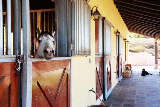 Skyridge+Barn+and+Stables