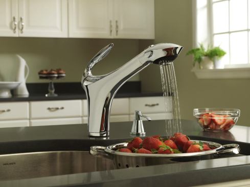 Affordable luxury is the company’s focus, and the new Corsair pull-out kitchen faucet fits right into that message. It has a feminine design (the company’s words), three functions for stream, spray, and pause, and an ergonomically designed handle.  It comes in chrome and stainless steel finishes. Danze. www.danze.com.