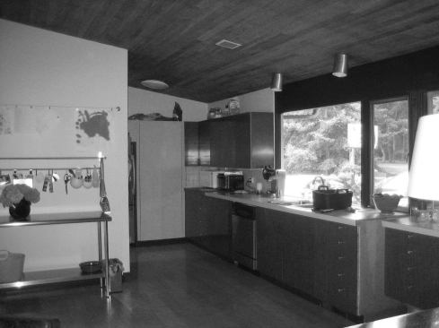 The kitchen before renovation.