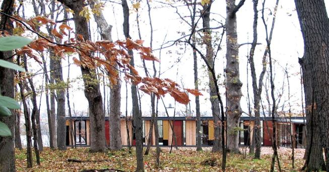 The house recedes into the background, letting the forest dominate the landscape.