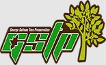 Indianapolis Tree Service Experts