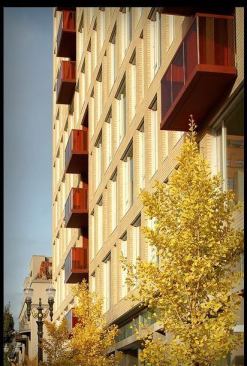 Not long ago, the Sierra Club tipped its hat to Portland's Pearl District and 937 Condos is one example of why. Located adjacent to a streetcar line, the LEED Gold building is topped with a 4,000 square foot vegetated roof with stormwater planters. Its slim profile and rotated floor plans are designed to make the most of natural light, reducing electrical loads. www.937condominiums.com