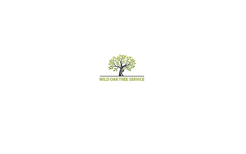 Austin Tree Services