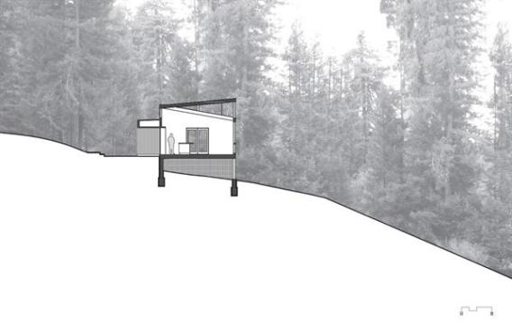 The project in section. 