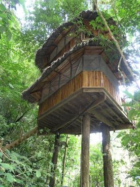 A shot of the Mis Ojos treehouse from below.
