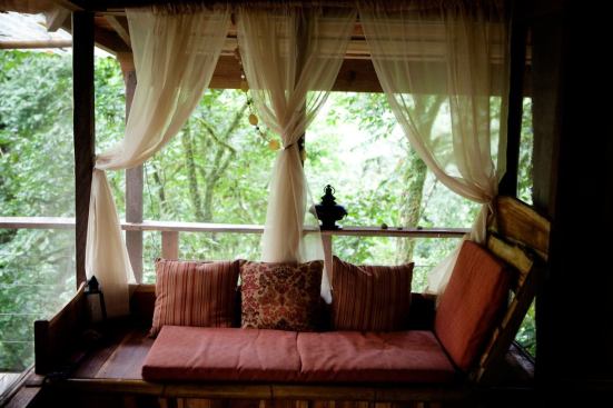 From the window seat in the Mis Ojos treehouse, residents get a good glimpse of the arboreal offerings.