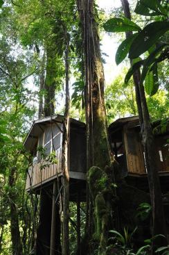 A shot of Casa Mariposa from the side.