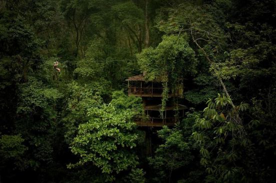 Zip lines and trails are the primary means of transportation.