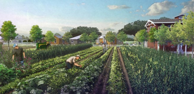 Courtesy Village Farm