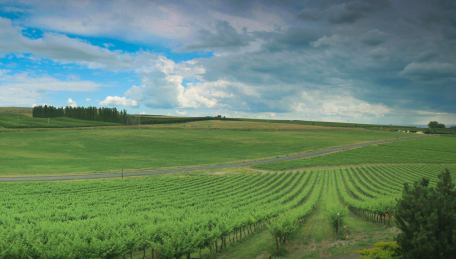 July 2011 Zillow Home Value Index: $132,263; 
ZHVI Five Years Ago: $127,746; 
Value Difference: 3.5%; 
Value Difference in Dollars: $4,517