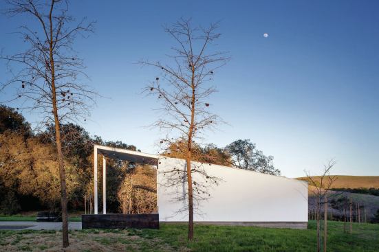 They’ve had 20 people spend the night in the house, by also using the pool house and TV room. 