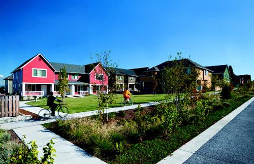 
        
        ENVIRONMENTALLY FRIENDLY: At High Point, a Seattle Hope VI 
project that pairs sustainability with affordable housing, a stormwater 
pond (Slide #4) and shallow roadside swales (shown here) are part of a 
34-block natural drainage system that captures runoff and protects the 
local watershed
      
      
