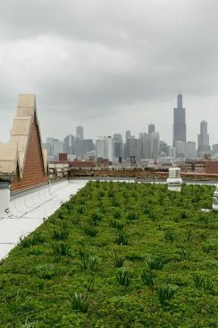 Half the roof is covered in plants, so the building stays cooler in the summer.