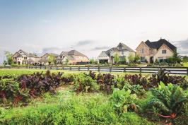 In Harvest Green by Johnson Development Corp., select houses overlook the community farm, while others sit adjacent to edible landscaping.