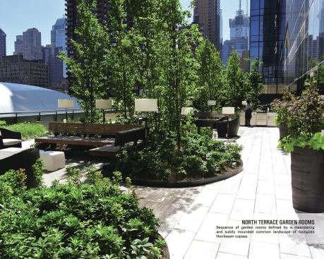 A large public spaceis broken up into smaller ones. Clusters of European Hornbeam act as groves, offsetting the ginormous scale of the building, and acting as a windscreen.