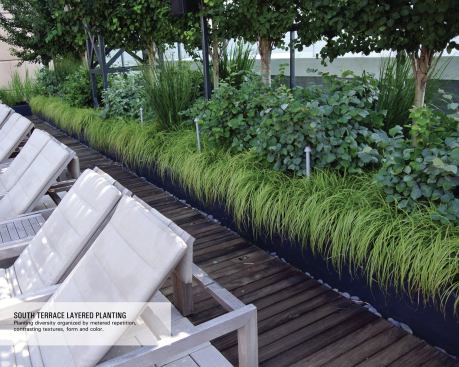 Because of load limitations, the terrace depth had to be shallow. Despite the limitations, this roof garden is undeniably lush, thanks to hardy shrubs and grasses. 